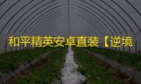 和平精英安卓直装【逆境/神眸直装】辅助